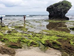 Rute tercepat ke Pantai Santolo Garut dari arah Bandung