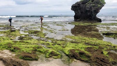 Rute tercepat ke Pantai Santolo Garut dari arah Bandung