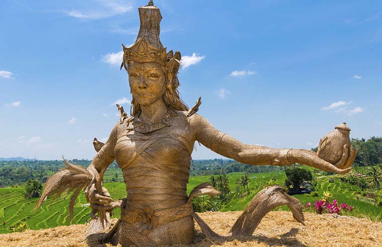 Ritual Adat Mapag Sri: Menyambut Emas Hijau dan Rasa Syukur Agraris